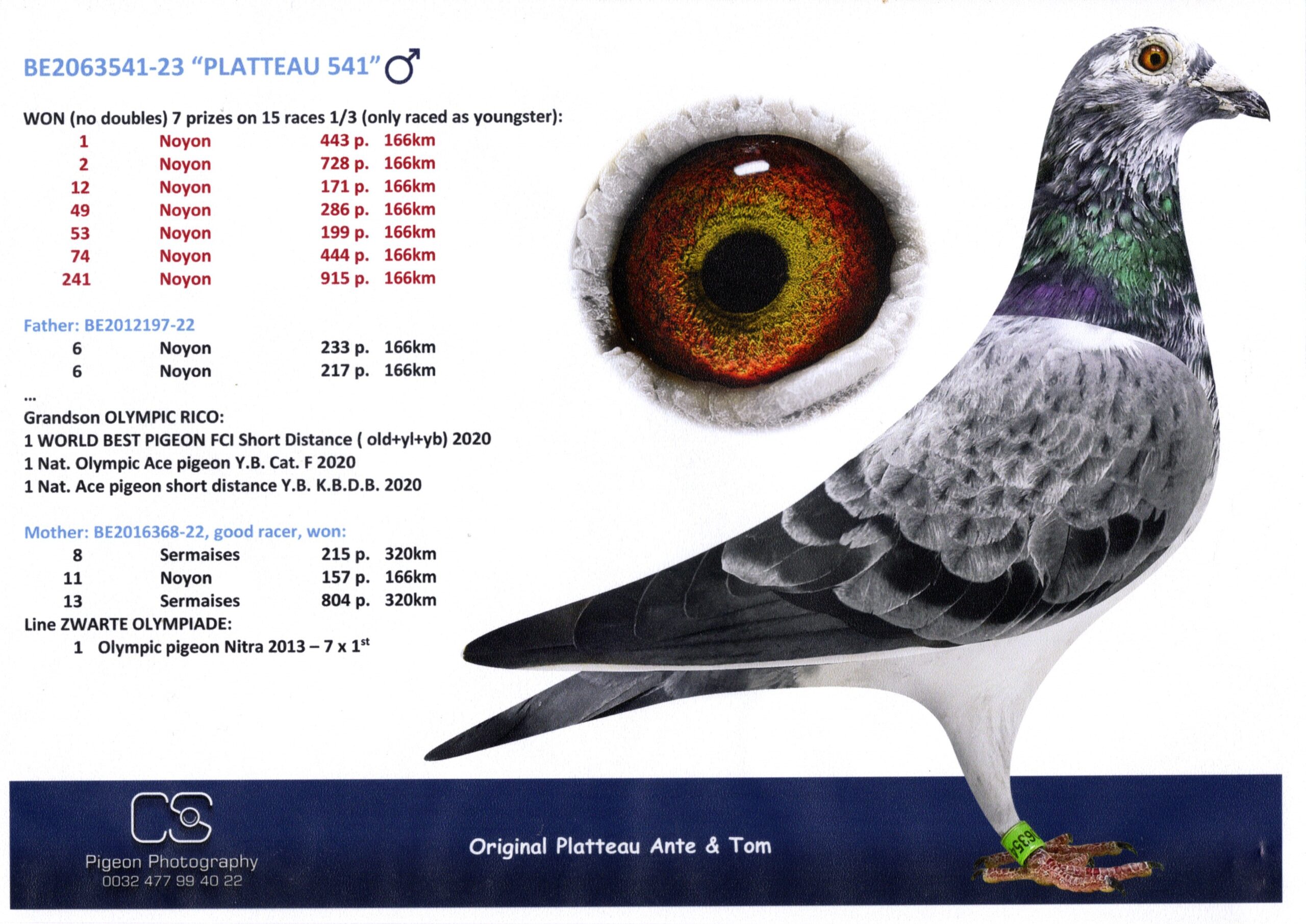 まる BQKOZFIN スピーカースタンド 2台1組 高さ調整可能 80-130cm 天板